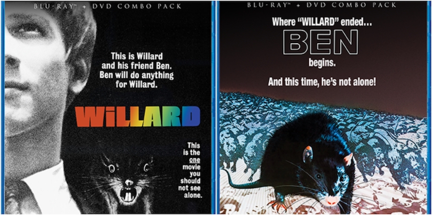 Blu-ray Review: WILLARD and BEN Scurry out of Scream Factory's Cellar